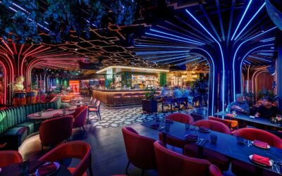 VIBE Budapest – exkluzív étterem a belváros szívében, ahol a városi élmény új értelmet nyer